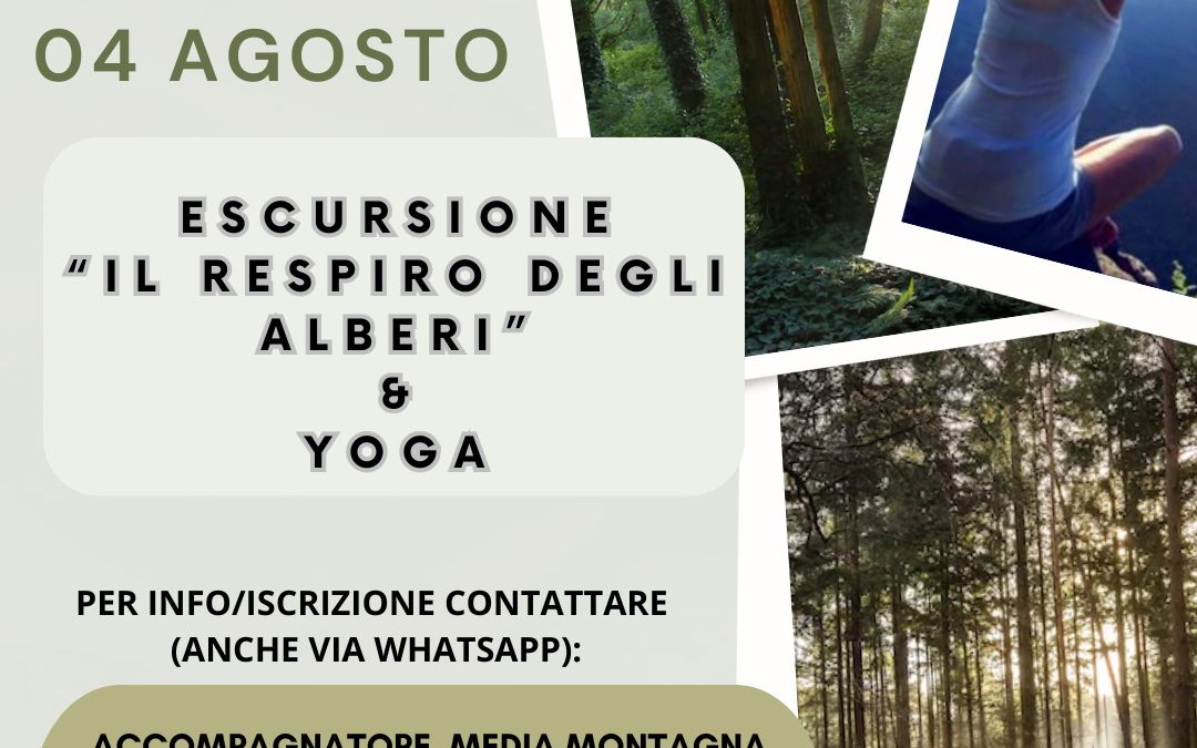 Escursione “Il respiro degli alberi” & Yoga