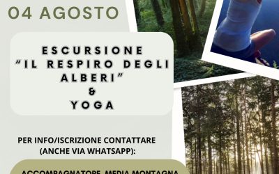 Escursione “Il respiro degli alberi” & Yoga
